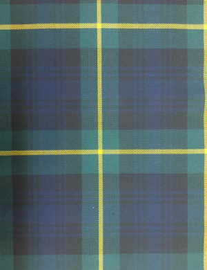 Fidelis College Senior Skirt 